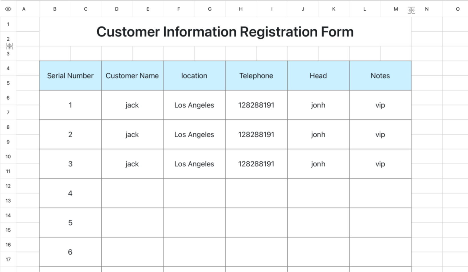 Customer Information Registration Form